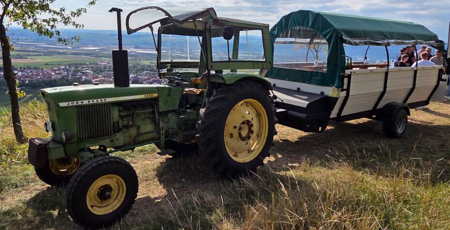 WhatsApp Bild 2025-10-15 um 07.44.31_63139b92